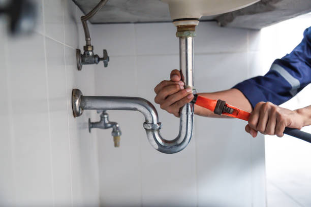 Best Local Plumber Services  in Oro Valley, AZ